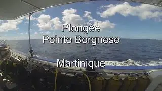 plongee pointe borgnese
