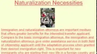 Aid for Starting Adaptation, Immigration and Naturalization Attorney