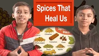 Spices that heal Us, Class 6, English, NCERT, Poorvi