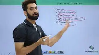 Class 11th &ndash; MCQs on Virus, Lichen and Mycorrhiza | Biological Classification | Tutorials Point