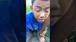 Mancing Belut sawah kecil malah stres 🤣 #shorts #mancing #fyp #viralshorts #trendingshorts #belut