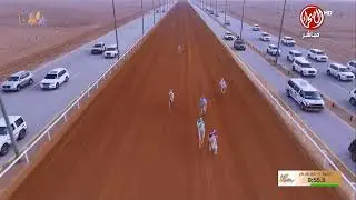 الشوط 1 ثنايا  بكار عام  صباح يوم  الجمعة 26-12-2025 من #مهرجان_الملك_عبدالعزيز_للإبل10