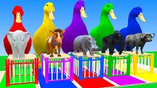 Long Slide Game With Cow Elephant Gorilla Hippopotamus Tiger 3d Animal Game Funny 3d Animals