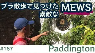 167. ブラ散歩で見つけた素敵な MEWS / パディントン / Paddington【ロンドン/街歩き】