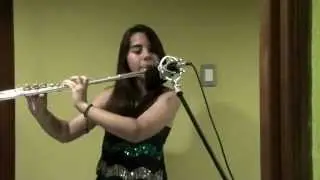 Love Me Like You Do - Ellie Goulding Flute Cover