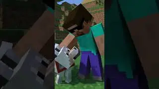 PROBOIZ VS JUNKEYY #shorts #minecraft