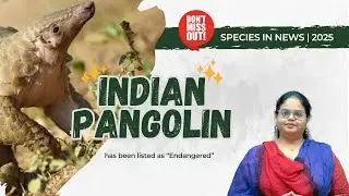 Indian Pangolin: The Most Trafficked Mammal You&rsquo;ve Never Seen | UPSC Environment Story