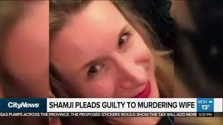 Prominent neurosurgeon pleads guilty to murdering wife