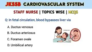 Jkssb Anatomy & Physiology Cardiovascular System mcqs | Staff Nurse exams | Topic Wise | Nursing