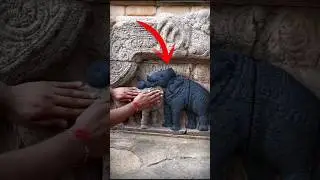How is it possible?🤯😯 #shorts #ytshorts #cow #elephant #temple #ancient #india #animals #trending