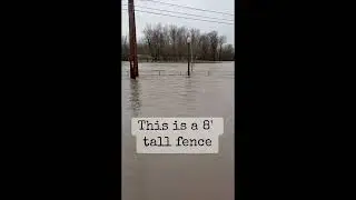 Park Unrecognizable as River Reaches Record Levels Amid Pacific Northwest Floods