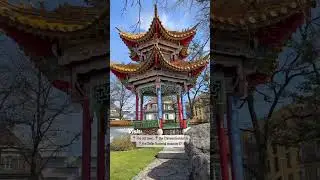 Weekend Vlog Zurich