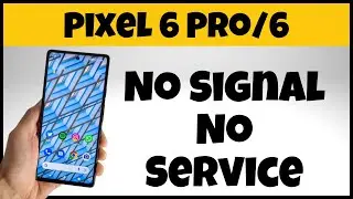 Pixel 6 Pro/6 : No Signal No Service