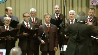 MGV-Molzbichl - Festgesang