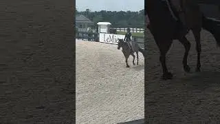 WEC Day 2 Spring Show 2025  Riding Maddie!! #horse #equestrianshow #horsegirls #horsegirl