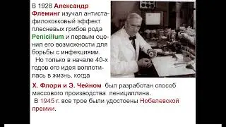11:30-13:00 Противомикробные химиотерапевтические препараты