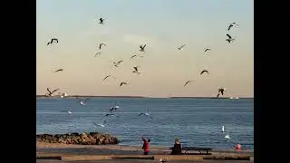La Porte, TX