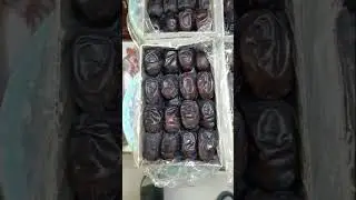 Doustan Export &ndash; Your Trusted Partner for Iranian Dates