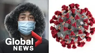 Coronavirus outbreak: Do medical masks really reduce the risk of contracting viruses?