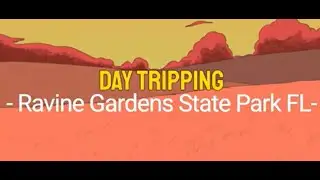Touring Ravine Gardens State Park, Palatka, FL
