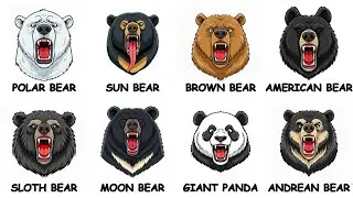 Every Bear Species Explained in 10 Minutes 8 Types of Bears