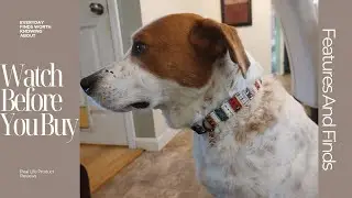 Check Out Cute Christmas Dog Collar with Tree Charm
