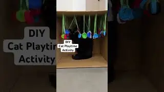 DIY Cat Toy