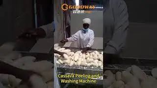 Professional Cassava peeling and washing machine Cassava peeler processing machine