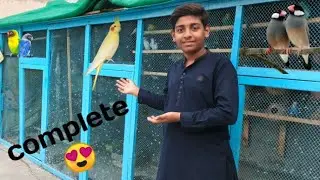 Master cage complete ho gya😍