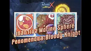 Rox: เทสดาเมจการ์ด Marine Sphere,Bloody KnightและPenomena