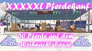 SSO 🦄 50 Pferde auf dem Weihnachtsbasar 🎅 XXXXXL Pferdekauf