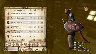 Anvil Shield
