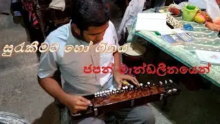 Surakeemata ho Instrumental on Japan Mandolin by Kavindu Darshana Perera