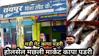 Wholesale fish market pandari kapa  raipur  ! Raipur fish market kapa mandi get  pandari !!