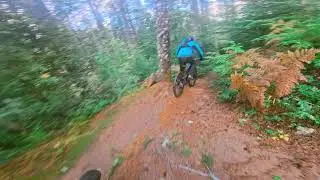 Chasing Pete 