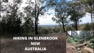 Exploring Elizabeth Lookout & Marges Lookout - Knapsack Reserve Walks