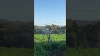 Irrigac&atilde;o de pastagens