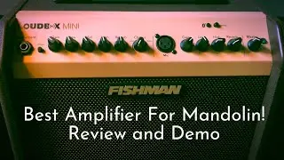 Best Amp for Mandolin: Fishman Loudbox Mini Review and Demo