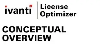 License Optimizer conceptual overview