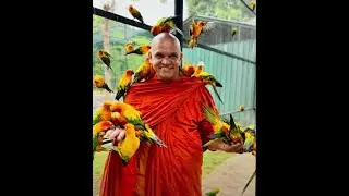Power of Metta: Dhamma USA