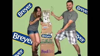 BOYFRIEND Unboxes HUGE BREYER HAUL