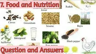 4th EVS1 Lesson 7. Food and Nutrition. Question and Answers.
