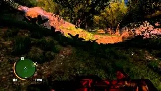 Far Cry 3 | Undying Bear | Rare Animal #7