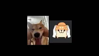 Shibe face sticker IRL comparison
