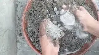 Satisfying video #crushing #crumbling #claycrushing #mudcrumbling #asmrvideo #sandcrumblingasmr 