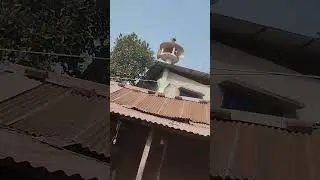 পথ চলায় প্রাকৃতিক সৌন্দর্য। — এ যেন চলমান এক ক্যানভাস। #video #viral #nature #viralvideo 