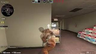 HVH COMPILATION WITH NEVERLOSE