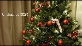 Christmas 2025 | Thói quen buổi sáng, nấu ăn, trang trí cây thông noel !