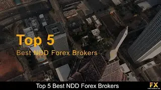 Best NDD Forex Brokers📈