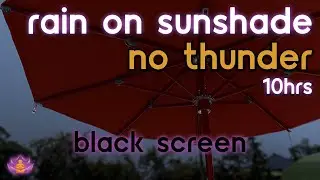 [Black Screen] Rain on Sunshade | Rain Ambience No Thunder | Rain Sounds for Sleeping
